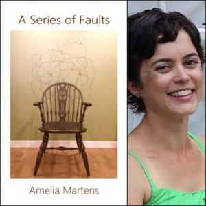 A Series of Faults by Amelia Martens