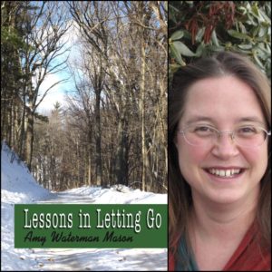 Lessons in Letting Go by Amy Mason