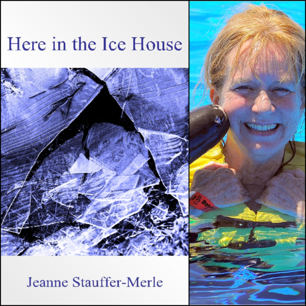 Here in the Ice House by Jeanne Stauffer-Merle