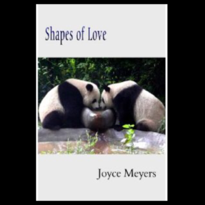 Shapes of Love by Joyce Meyers