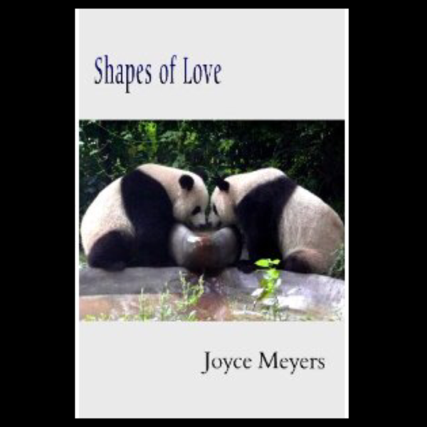Shapes of Love by Joyce Meyers