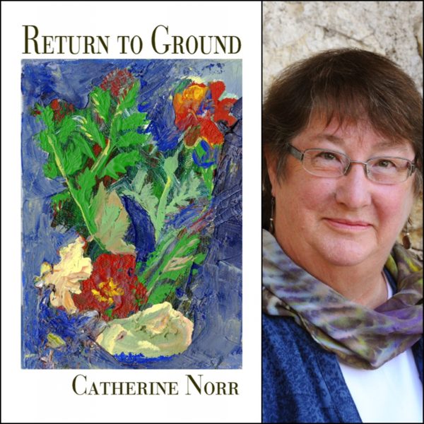 Return to Ground by Catherine Norr
