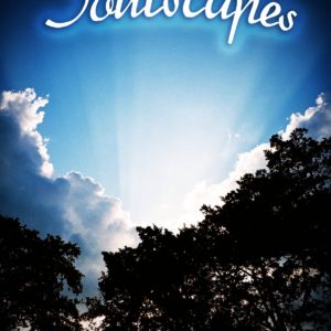 Soulscapes by Michele O. Newman