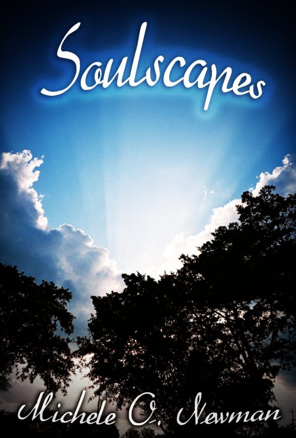 Soulscapes by Michele O. Newman