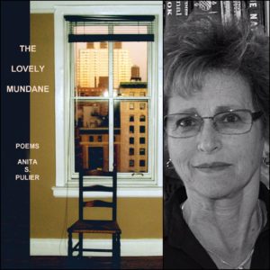The Lovely Mundane by Anita Pulier