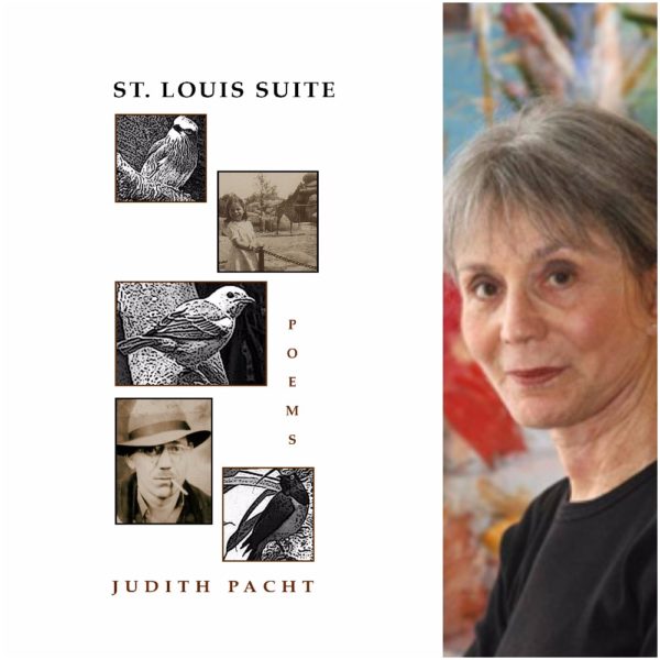 St. Louis Suite by Judith Pacht