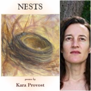 Nests by Kara Provost