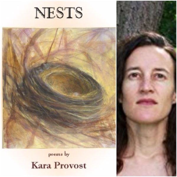 Nests by Kara Provost