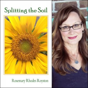 Splitting the Soil by Rosemary Rhodes Royston