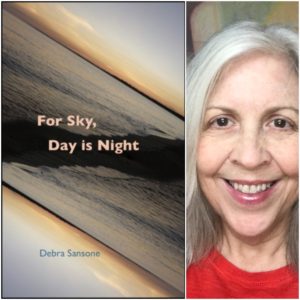 For Sky, Day is Night by Debra Sansone