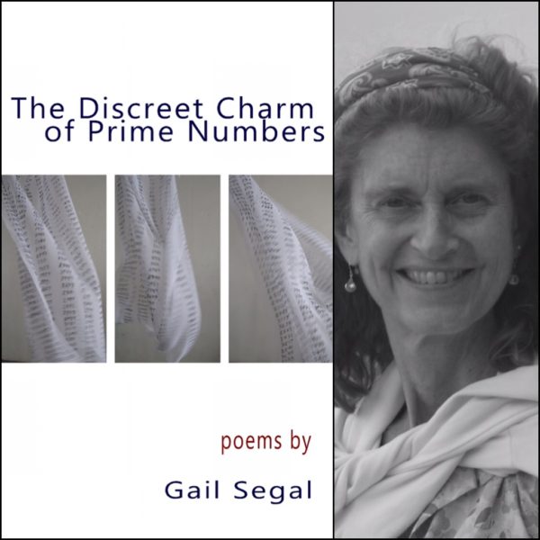 The Discreet Charm of Prime Numbers by Gail Segal