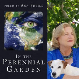 In the Perennial Garden by Ann Sheils