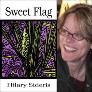 Sweet Flag by Hilary Sideris