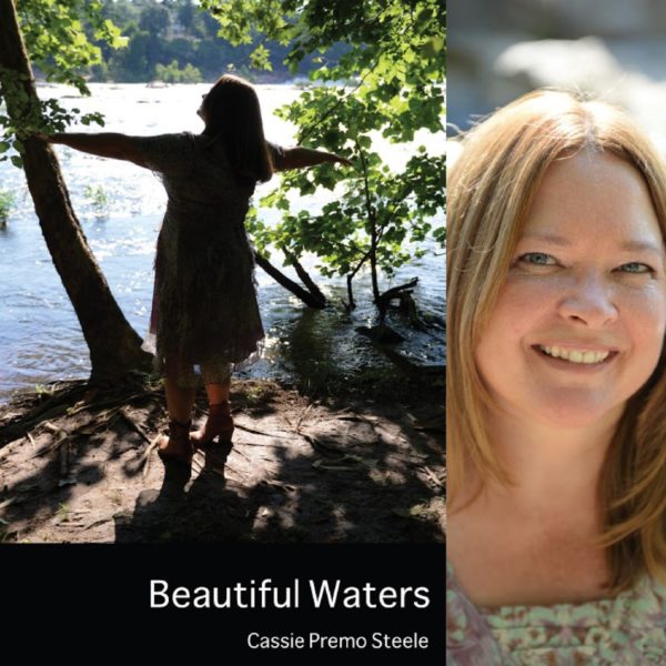 Beautiful Waters by Cassie Premo Steele