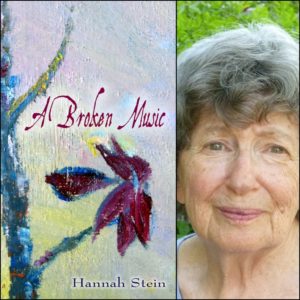 A Broken Music by Hannah Stein