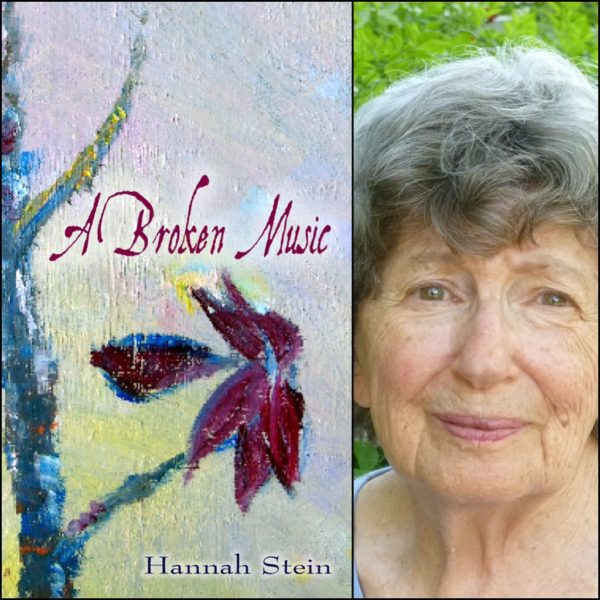 A Broken Music by Hannah Stein