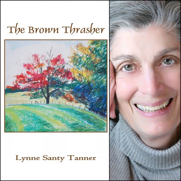 The Brown Thrasher by Lynne Santy Tanner