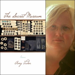 The Secret Museum by Amy Tudor