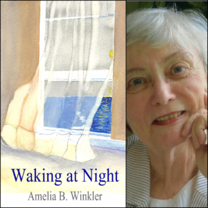 Waking at Night by Amelia B. Winkler