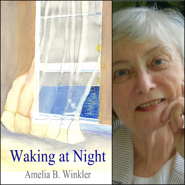 Waking at Night by Amelia B. Winkler