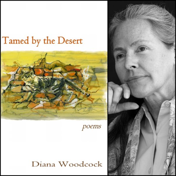 TAMED BY THE DESERT by Diana Woodcock