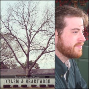 Xylem & Heartwood by William Wright