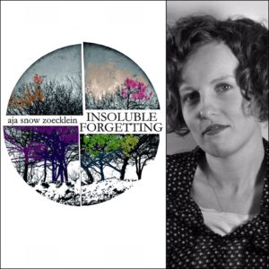 Insoluble Forgetting by Aja Snow Zoecklein