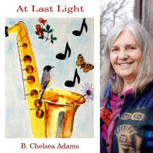 At Last Light by B. Chelsea Adams