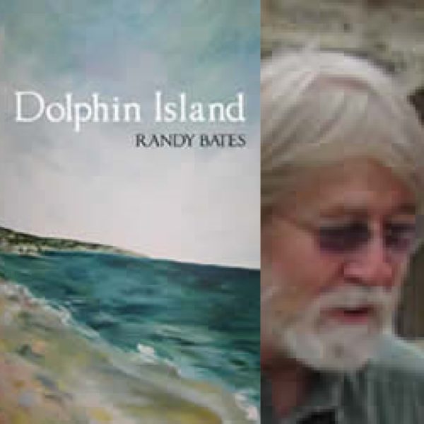 Dolphin Island by Randy Bates