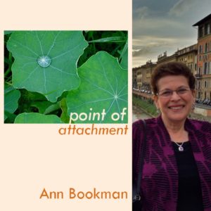 Point of Attachment by Ann Bookman