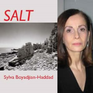 Salt by Sylva Boyadjian-Haddad (NWVS, #83)