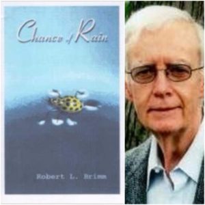 Chance of Rain by Robert L. Brimm