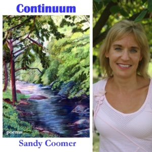 Continuum by Sandy Coomer