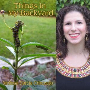 Things in My Backyard by Melissa G. Criscuolo