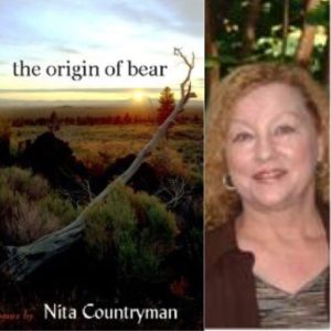 The Origin of Bear by NITA COUNTRYMAN