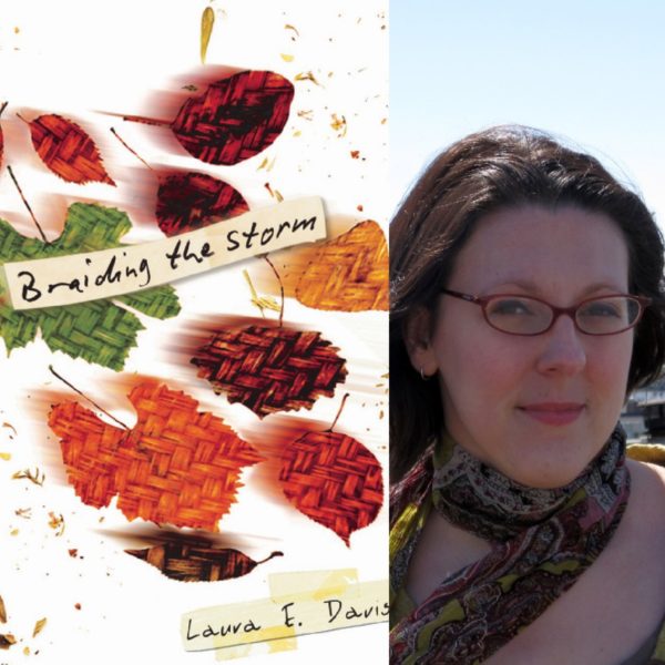 Braiding the Storm by Laura E. Davis