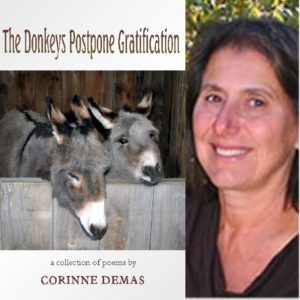 The Donkeys Postpone Gratification by Corinne Demas