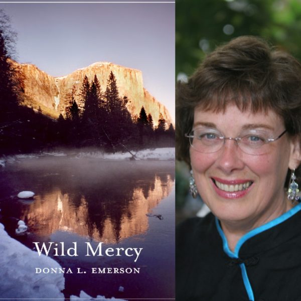 Wild Mercy by Donna L. Emerson