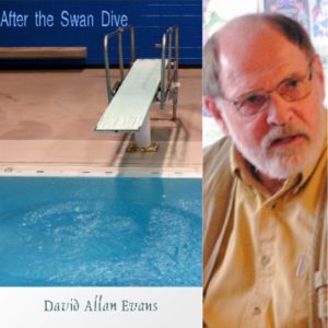 After the Swan Dive by David Allan Evans
