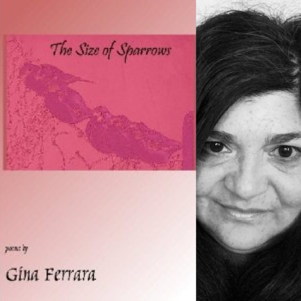 The Size of Sparrows by GINA FERRARA