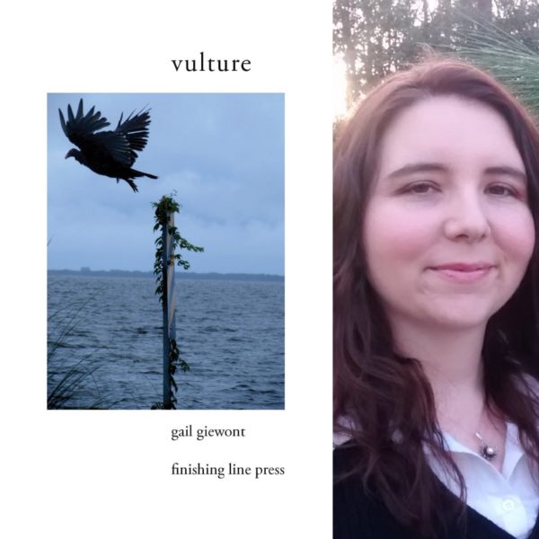 Vulture by Gail Giewont