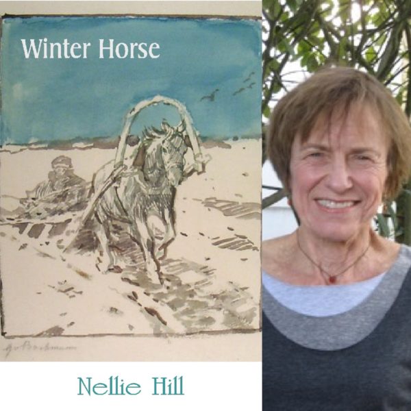 Winter Horse by Nellie Hill