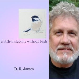 A Little Instability Without Birds by D.R. James
