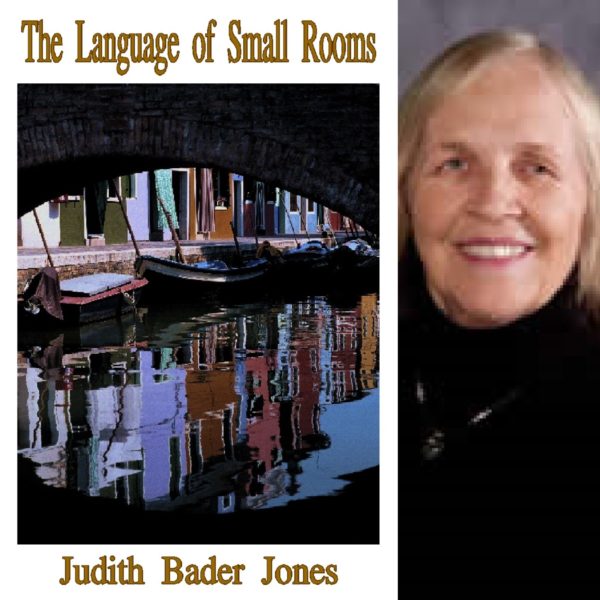The Language of Small Rooms by Judith Bader Jones