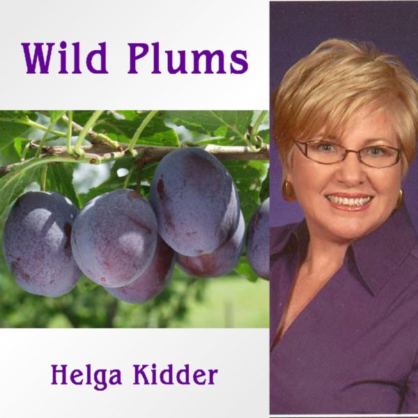 Wild Plums by Helga Kidder