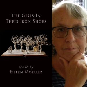 The Girls In Their Iron Shoes by Eileen Moeller