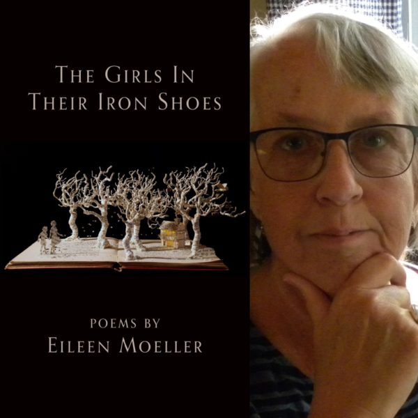 The Girls In Their Iron Shoes by Eileen Moeller