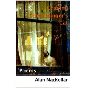 Chasing Schroedinger's Cat by Alan Mackellar