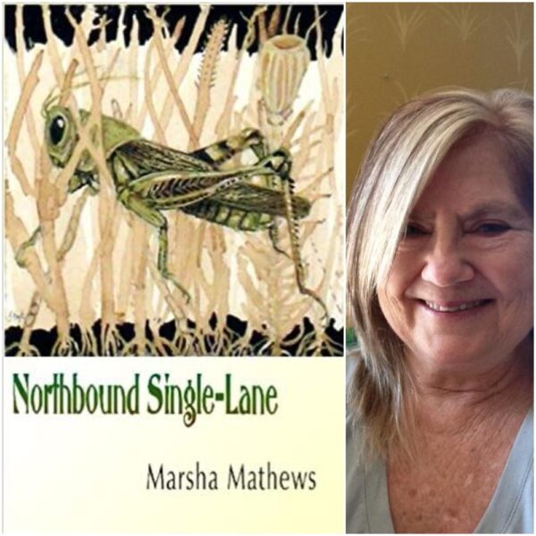 Northbound Single-Lane by Marsha Mathews