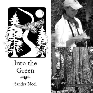 Into the Green by Sandra Noel